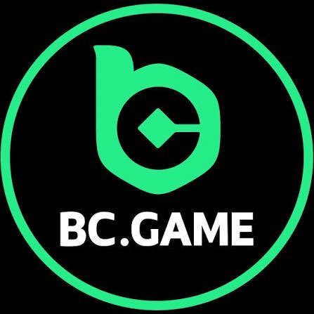 Comprehensive Support for BC Game Users in the USA